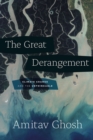 Image for The great derangement  : climate change and the unthinkable