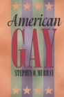 Image for American Gay