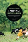 Image for Animal Intimacies : Interspecies Relatedness in India&#39;s Central Himalayas