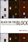 Image for Black on the Block : The Politics of Race and Class in the City