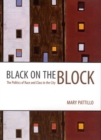 Image for Black on the block  : the politics of race and class in the city