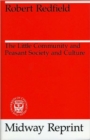 Image for The Little Community and Peasant Society and Culture