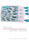 Image for Not by genes alone  : how culture transformed human evolution