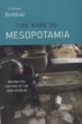 Image for The rape of Mesopotamia: behind the looting of the Iraq Museum