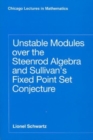 Image for Unstable Modules over the Steenrod Algebra and Sullivan&#39;s Fixed Point Set Conjecture