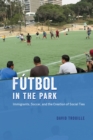 Image for Fâutbol in the park  : immigrants, soccer, and the creation of social ties