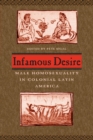 Image for Infamous desire  : male homosexuality in colonial Latin America