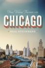 Image for You Were Never in Chicago