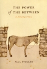 Image for The power of the between  : an anthropological odyssey