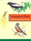 Image for Neotropical Birds : Ecology and Conservation