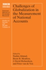 Image for Challenges of Globalization in the Measurement of National Accounts : 81