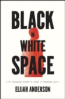 Image for Black in white space  : the enduring impact of color in everyday life