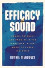 Image for Efficacy of Sound