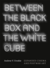 Image for Between the Black Box and the White Cube