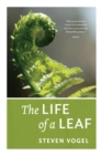 Image for The life of a leaf