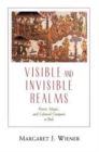 Image for Visible and Invisible Realms
