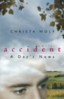 Image for Accident: a Day&#39;s News : A Novel