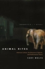 Image for Animal rites  : American culture, the discourse of species, and posthumanism