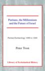 Image for Puritans, the Millennium and the Future of Israel