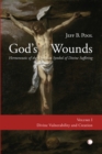 Image for God&#39;s wounds: hermeneutic of the Christian symbol of divine suffering