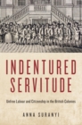 Image for Indentured servitude  : unfree labour and citizenship in the British colonies