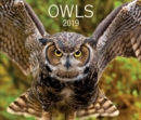 Image for OWLS 2019 CALENDAR