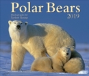 Image for POLAR BEARS 2019 CALENDAR