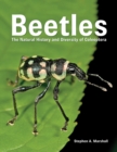 Image for Beetles  : the natural history and diversity of coleoptera