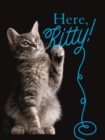Image for Here kitty