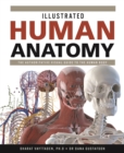 Image for Illustrated human anatomy  : the authoritative visual guide to the human body
