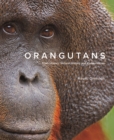 Image for Orangutans  : their history, natural history and conservation