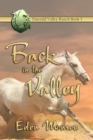 Image for Back in the Valley