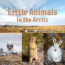 Image for Little Animals in the Arctic