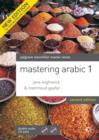Image for Mastering Arabic