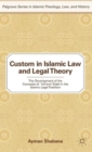 Image for Custom in Islamic Law and Legal Theory