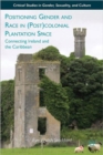Image for Positioning gender and race in (post)colonial plantation space  : connecting Ireland and the Caribbean