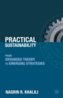 Image for Practical sustainability: from grounded theory to emerging strategies