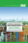 Image for Between conformity and resistance: essays on politics, culture, and the state