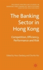 Image for The banking sector in Hong Kong  : competition, efficiency, performance and risk