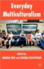 Image for Everyday multiculturalism