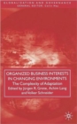 Image for Organized Business Interests in Changing Environments