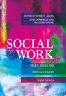 Image for Social work  : themes, issues and critical debates