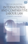 Image for International and Comparative Labour Law