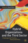 Image for Hybrid Organizations and the Third Sector
