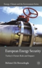 Image for European Energy Security