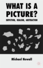 Image for What is a picture?  : depiction, realism, abstraction
