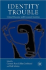 Image for Identity trouble  : critical discourse and contested identities