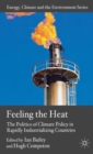 Image for Feeling the heat  : the politics of climate policy in rapidly industrializing countries