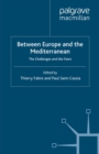 Image for Between Europe and the Mediterranean: the challenges and the fears