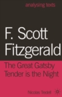 Image for F. Scott Fitzgerald  : the great Gatsby/tender is the night
